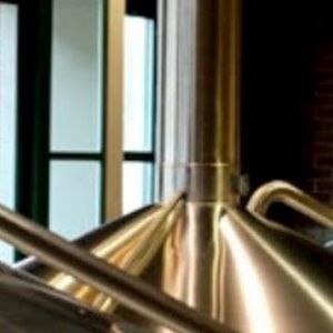 Meet your Posher, Anymene